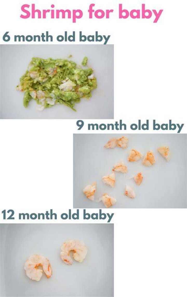 Can babies eat shrimp