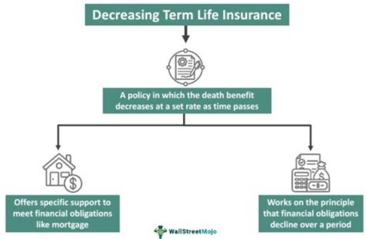 Decreasing Term Life Insurance Decreasing Term Life Insurance