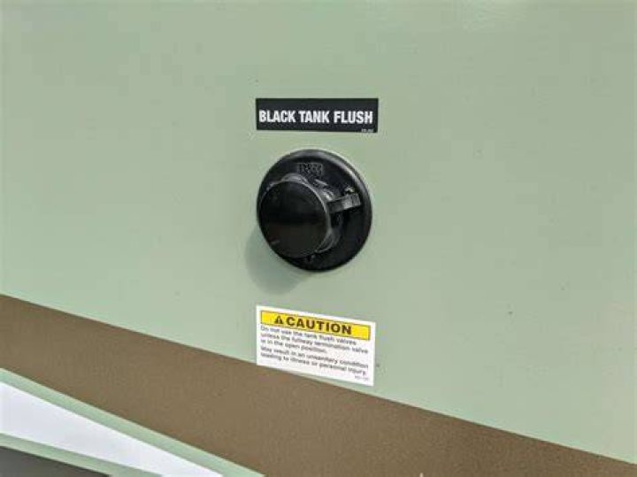 Do you flush black tank every time?