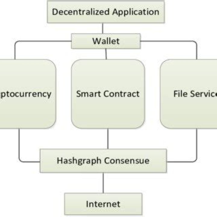 Hashgraph Consensus Mechanism - How To Discuss