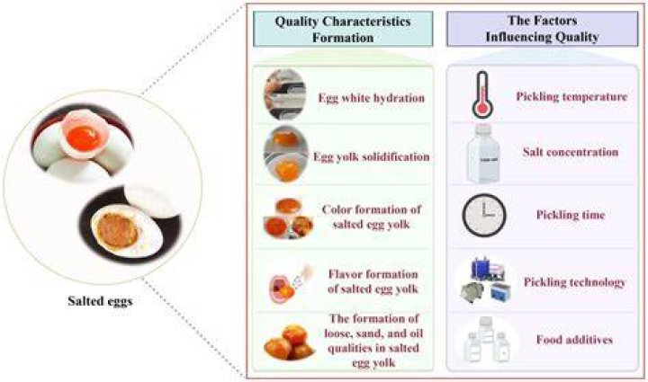 How are salted eggs made?