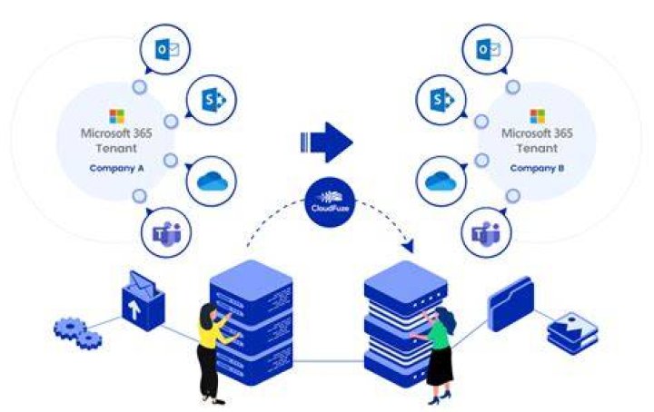 How do I do a cutover migration in Office 365