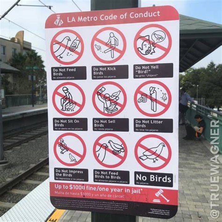 Metro Code