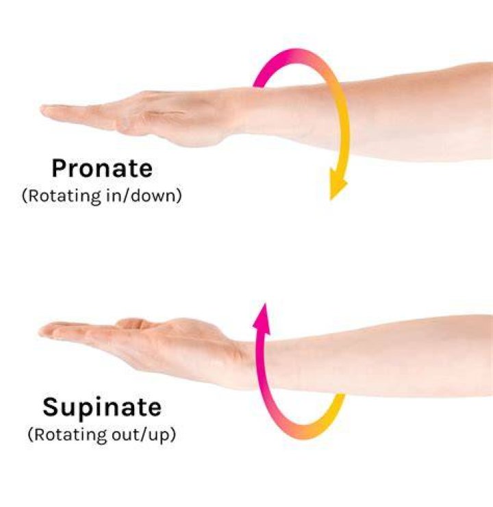pronation definition