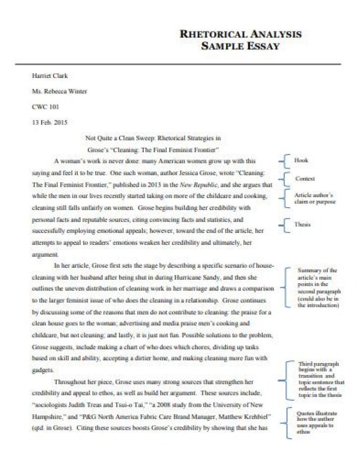rhetorical analysis essay example