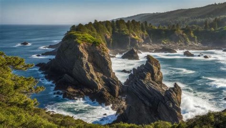 sinkyone wilderness state park