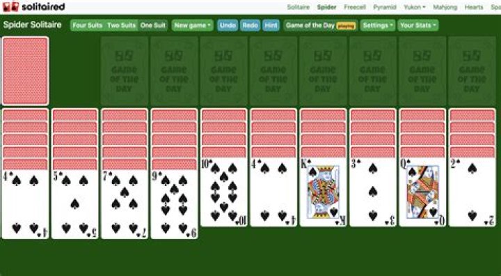 spider
