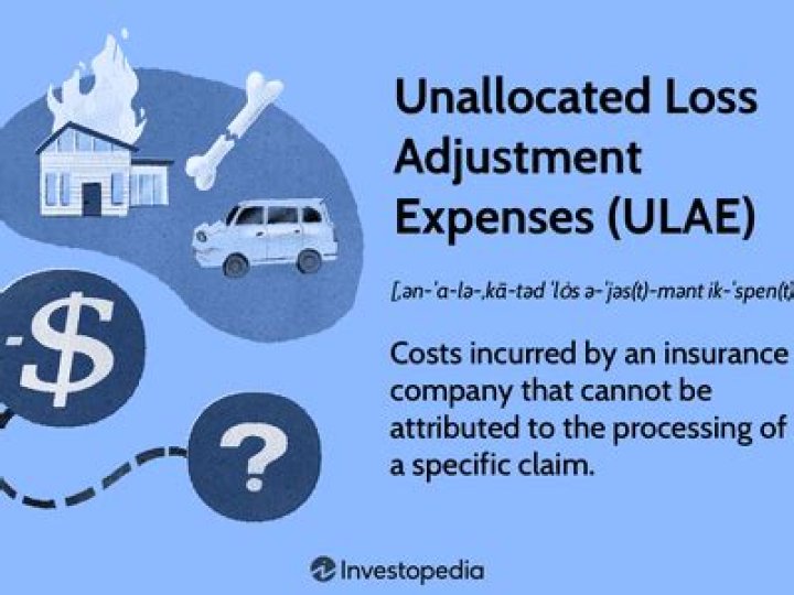 Unallocated Loss Adjustment Expenses (ULAE)