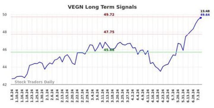 vegn stock