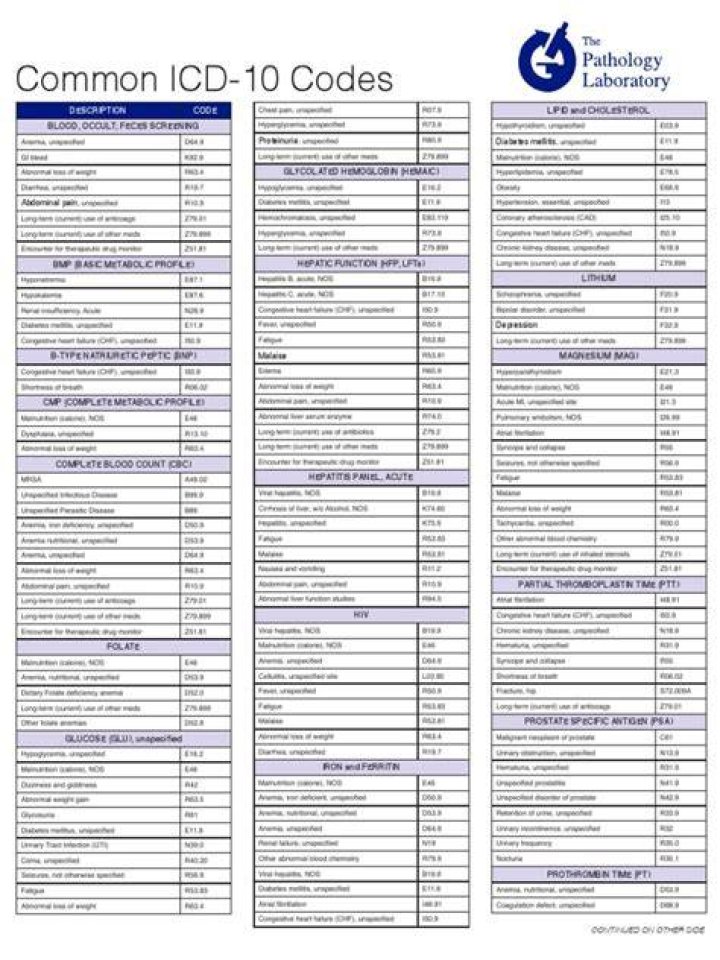 What are V codes used for in ICD 10