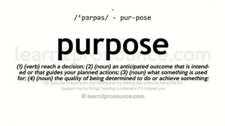 What Does Purpose Mean