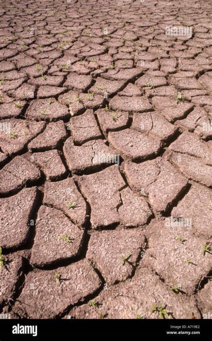 Why does the ground crack in a drought