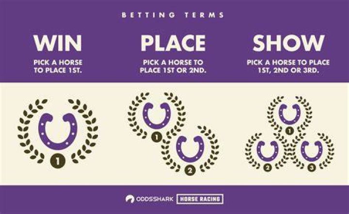 win place show bet